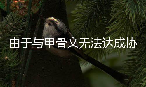 无法扩建由于与甲中心骨文达成协议取消计划数据
