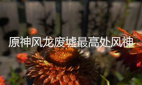 原神最高攻略风龙废墟神瞳收集处风