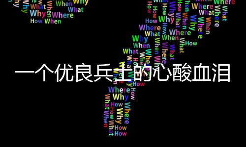 一个优良兵士的心泪养酸血成史