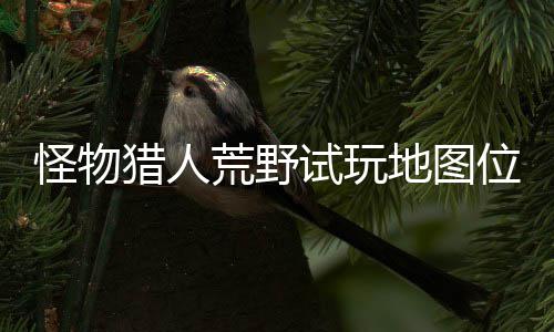 位置玩地有营图所在哪置攻怪物地图地位猎人略一览荒野试玩 试